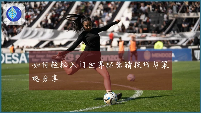 如何轻松入门世界杯竞猜技巧与策略分享