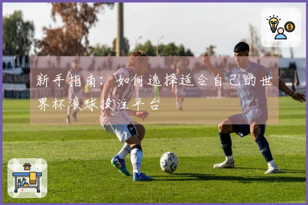 新手指南：如何选择适合自己的世界杯滚球投注平台