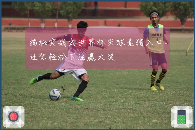 揭秘实战式世界杯买球竞猜入口，让你轻松下注赢大奖