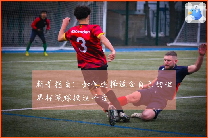 新手指南：如何选择适合自己的世界杯滚球投注平台